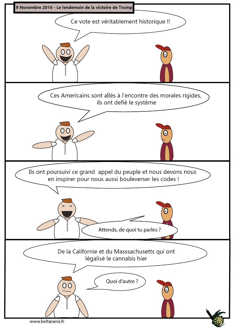 Vote utile