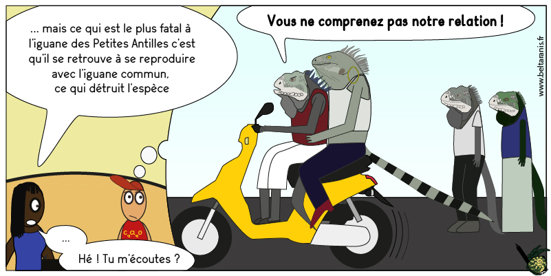 Erreurs de jeunesse