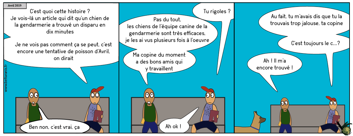 Fin limier